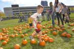 harvest fair