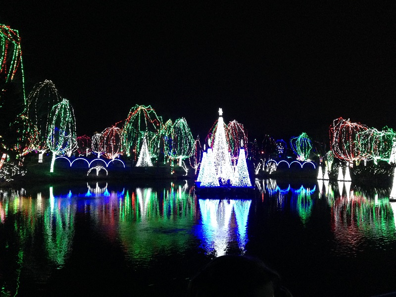 Experience Holiday Magic of Wildlights at the Columbus Zoo and Aquarium