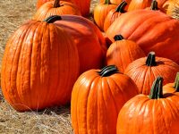 fall and halloween in columbus