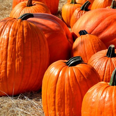 fall and halloween in columbus