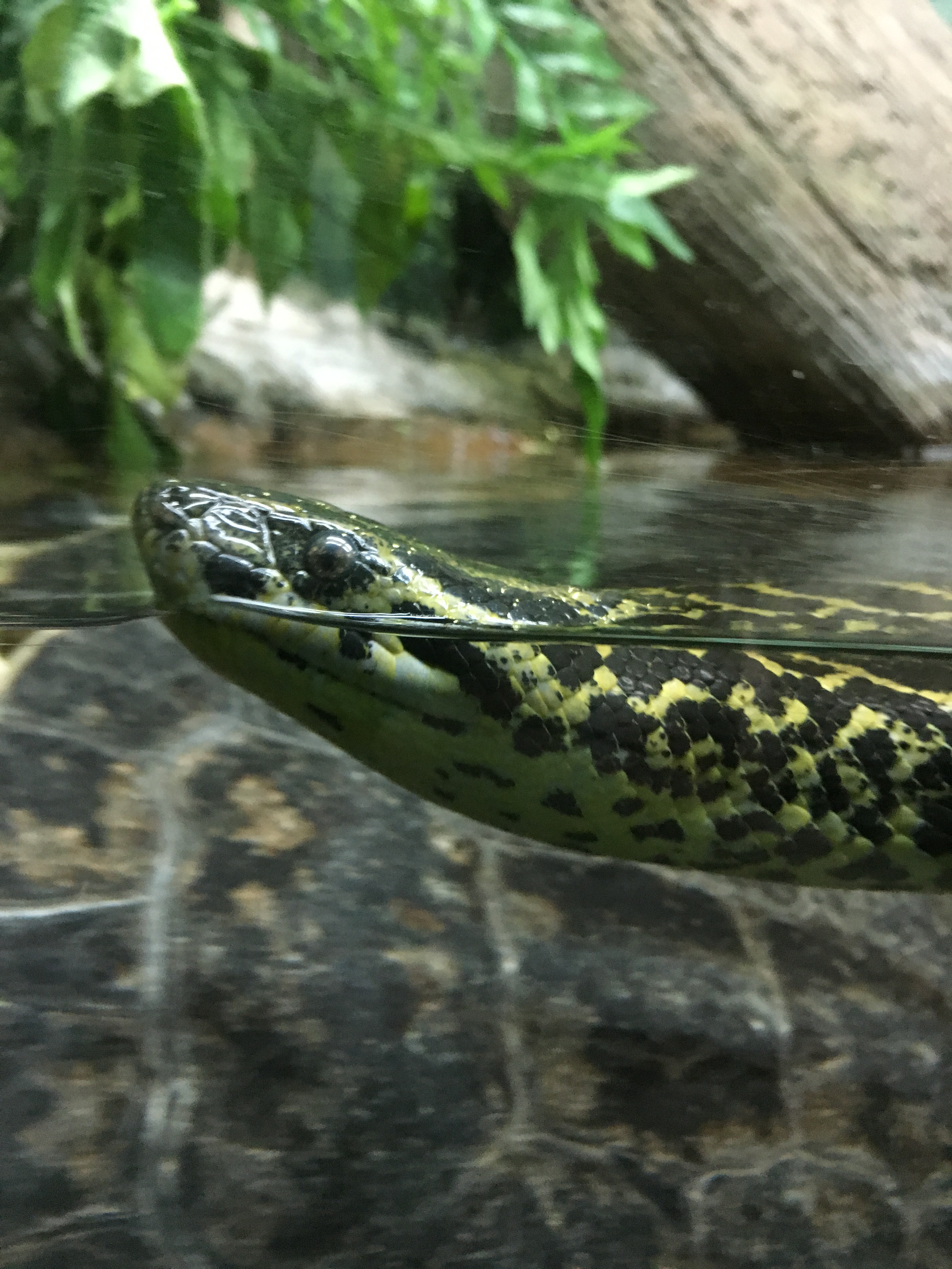 Columbus zoo discount tickets 2018 There are so many amazing festivals in Columbus, and the fall festival season is the best! Check out these great festivals for foodies, art lovers, and more.