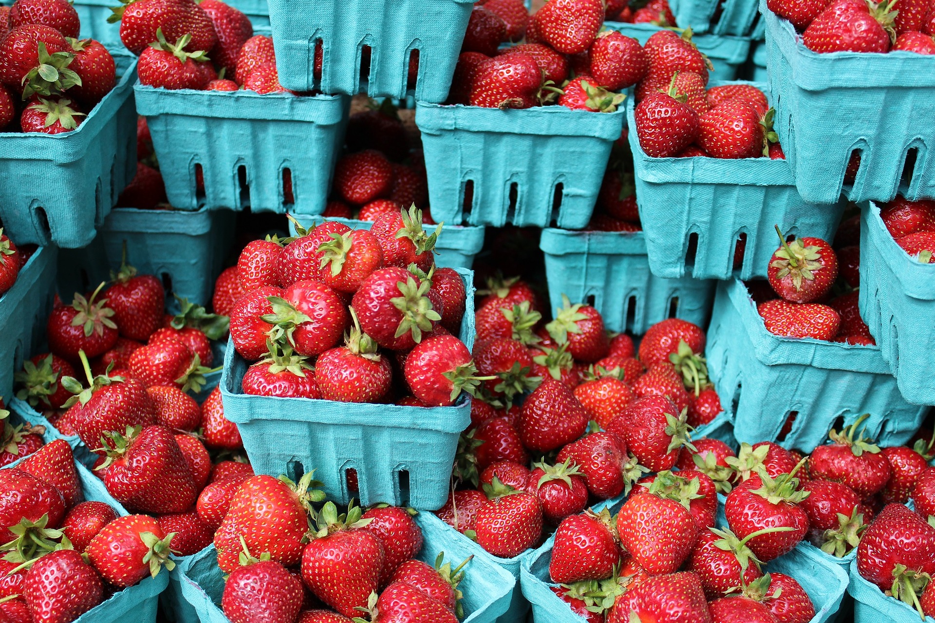 Upick Best places to pick berries around Columbus