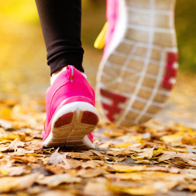 spring metro park hikes