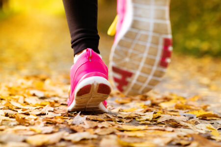 spring metro park hikes