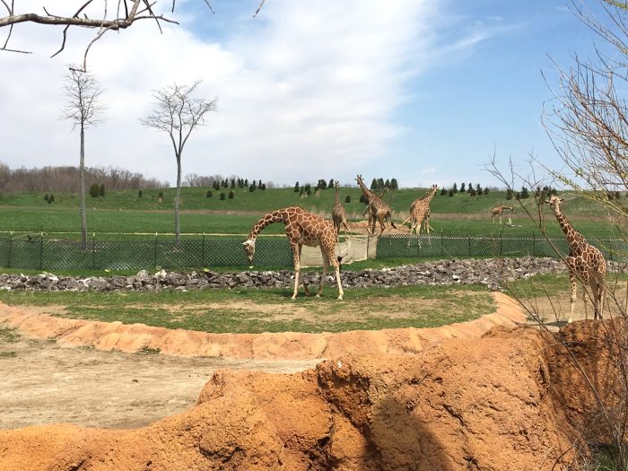 columbus zoo admission columbus zoo admission