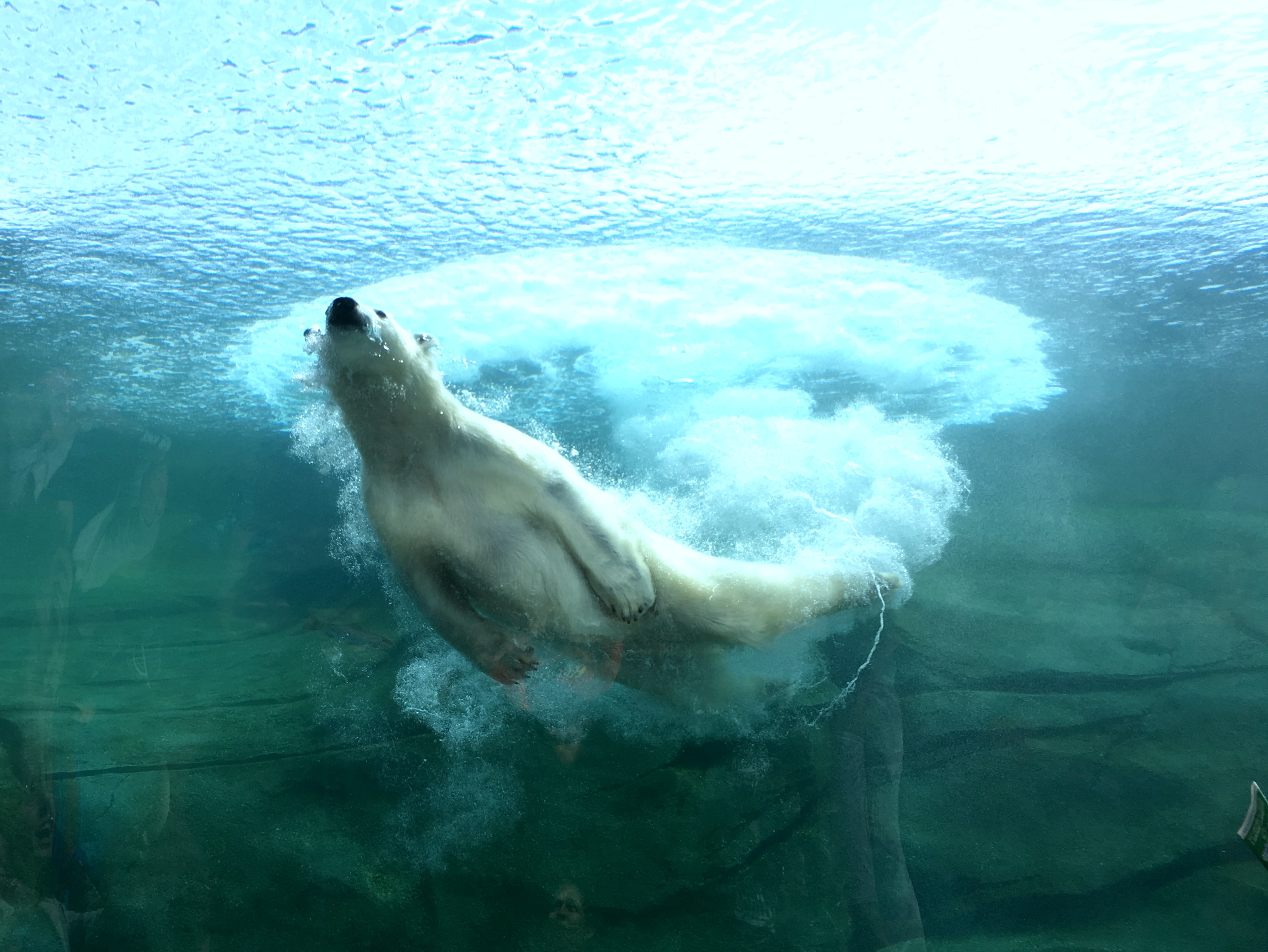 columbus zoo tickets and