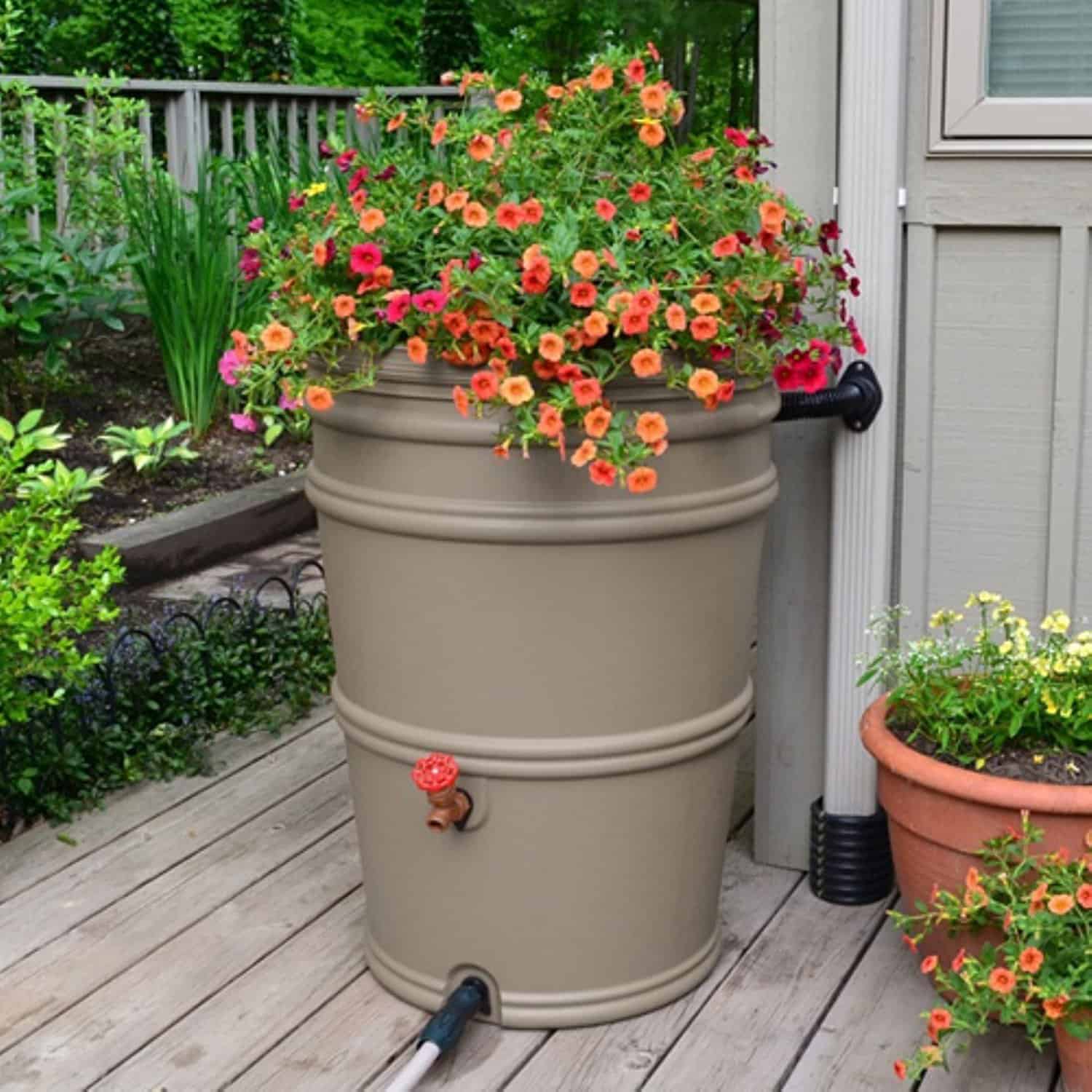 Rain Barrel Columbus On The Cheap