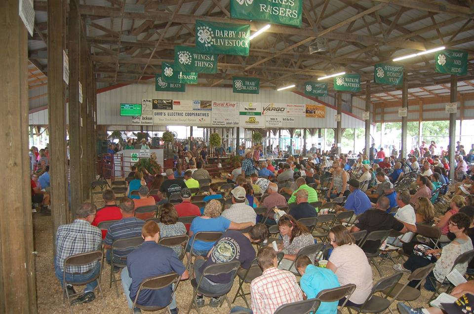 union county fair Columbus on the Cheap