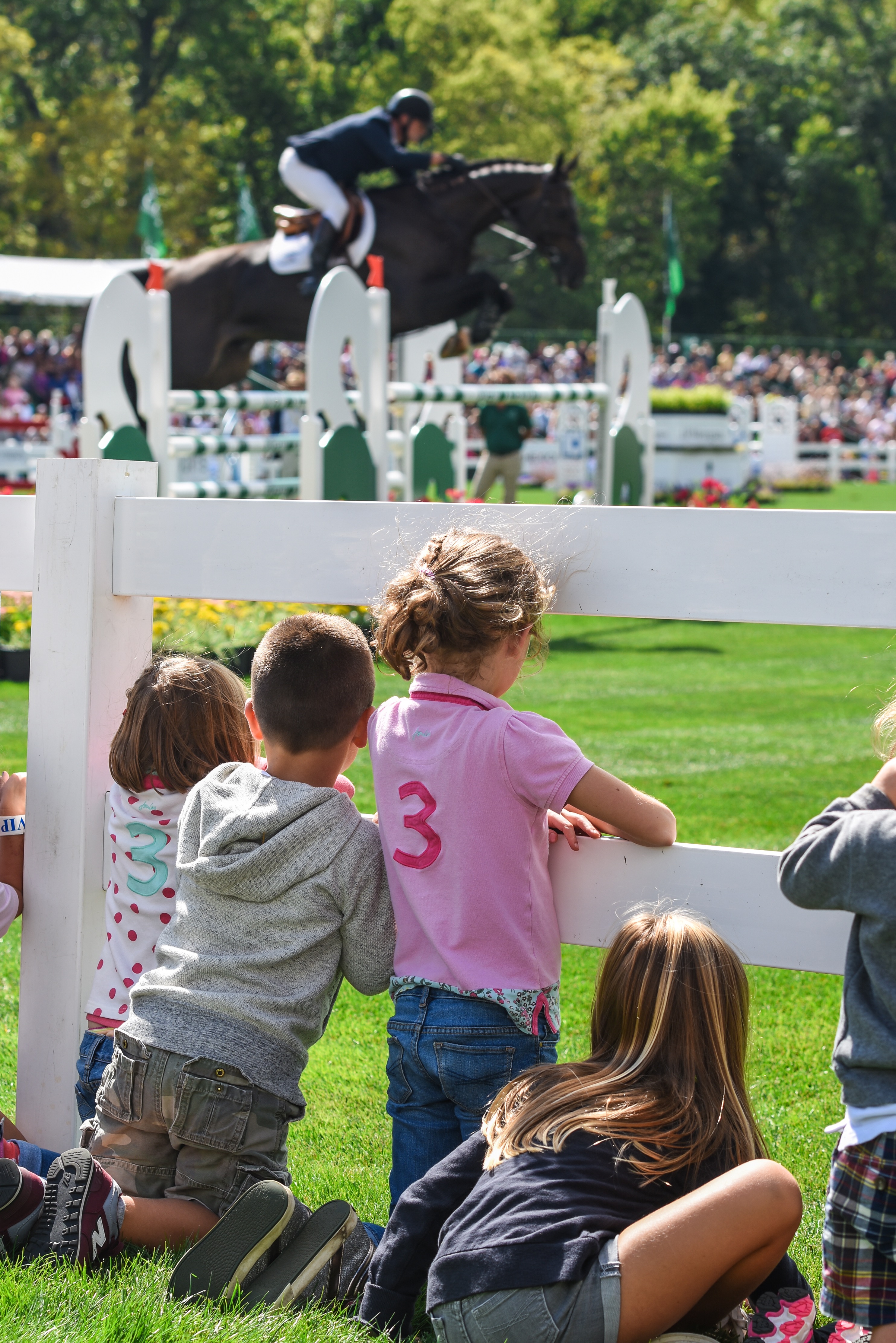 Albany Gas Prices >> The New Albany Classic Invitational Grand Prix & Family Day Albany Gas Prices >> The New Albany Classic Invitational Grand Prix & Family Day