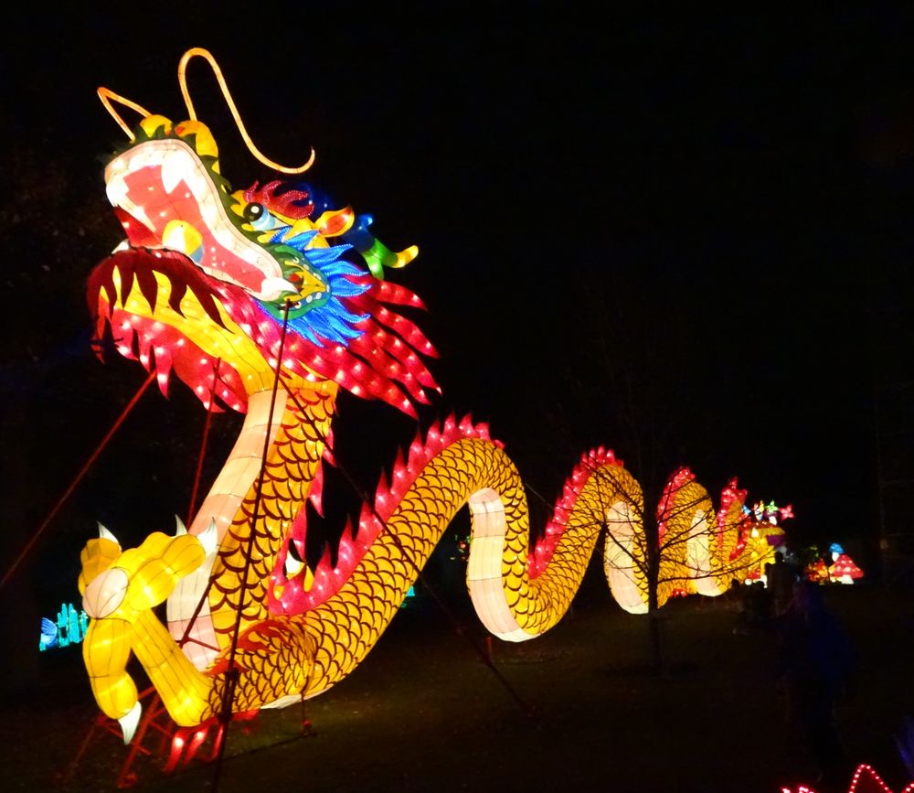 Experience the magic of Dragon Lights Columbus this winter!