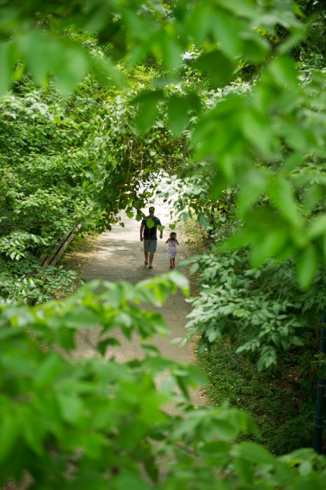 Creekside