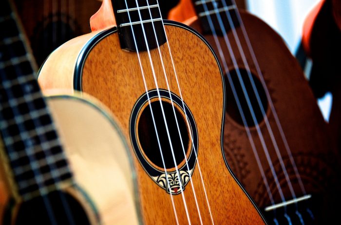 central ohio folk festival