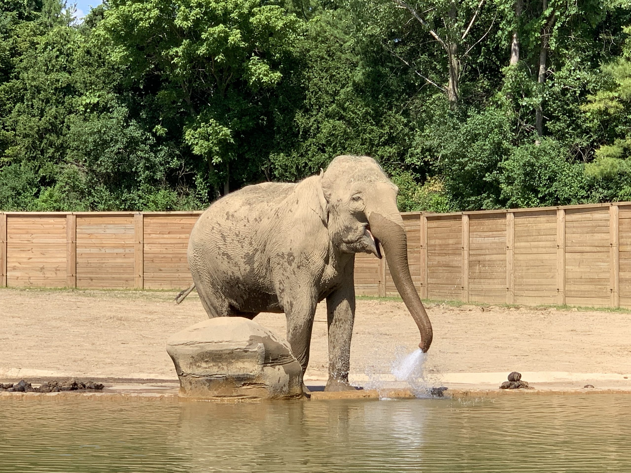 columbus zoo events columbus zoo events