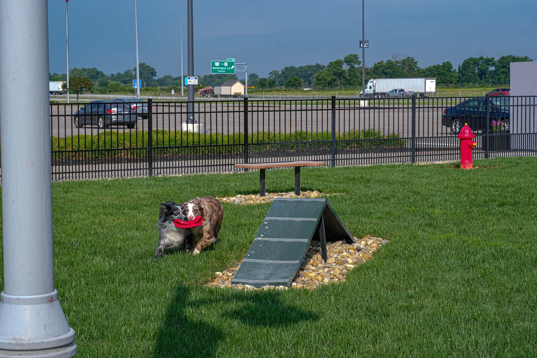 destination dog park Columbus on the Cheap